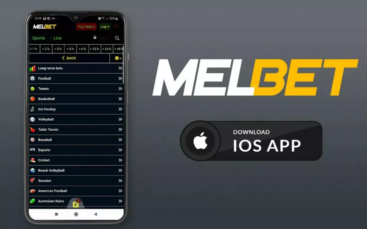 melbet bookmaker